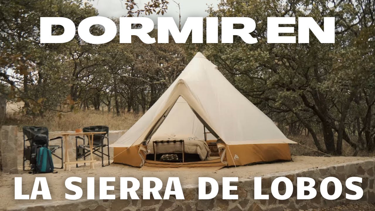 tan cerca de LEÓN existe este bosque y hoy dormimos ahí