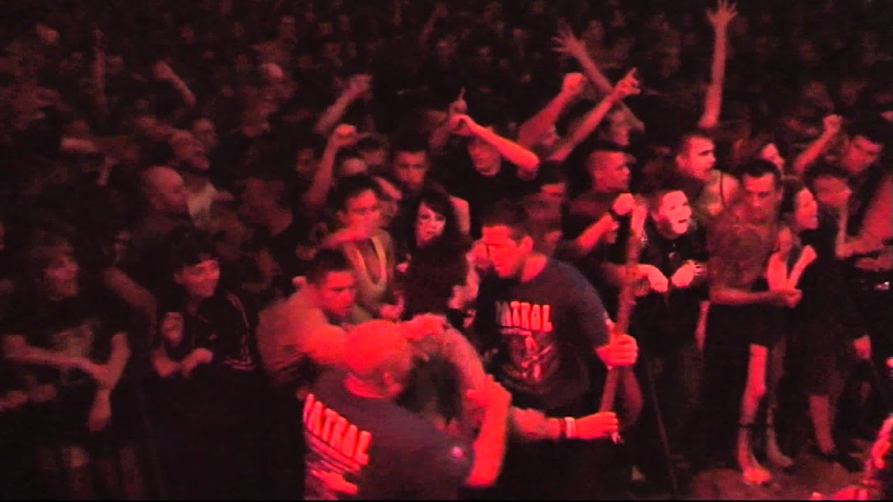 GA-GA - Zielone Żabki - Woodstock 2011 - 7 - Kultura