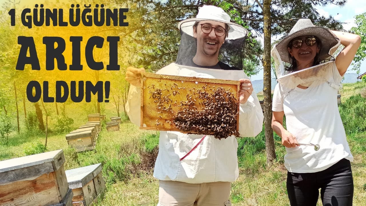 Bizimle 1 Gün Arıcı Olun 🐝 APİTERAPİ Nedir 🍯 Düzce Üniversitesi ARICILIK Merkezi | Arı vız vız