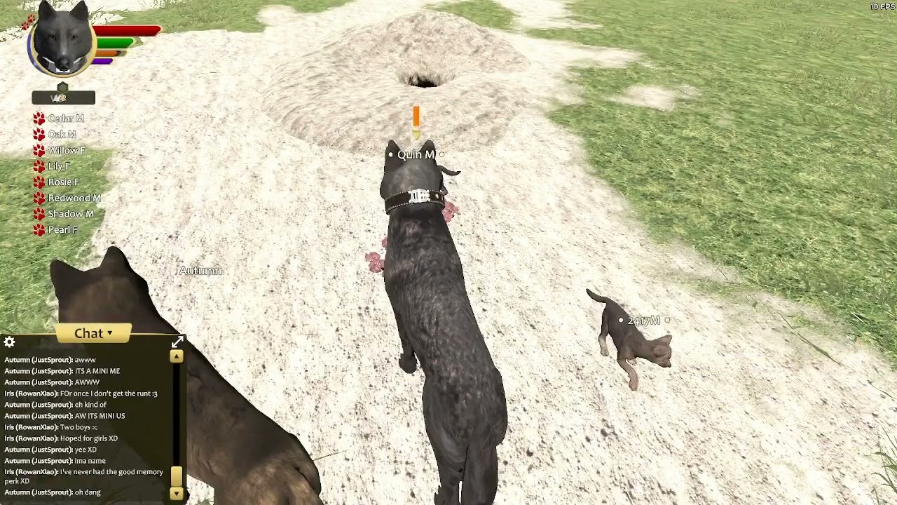 :3