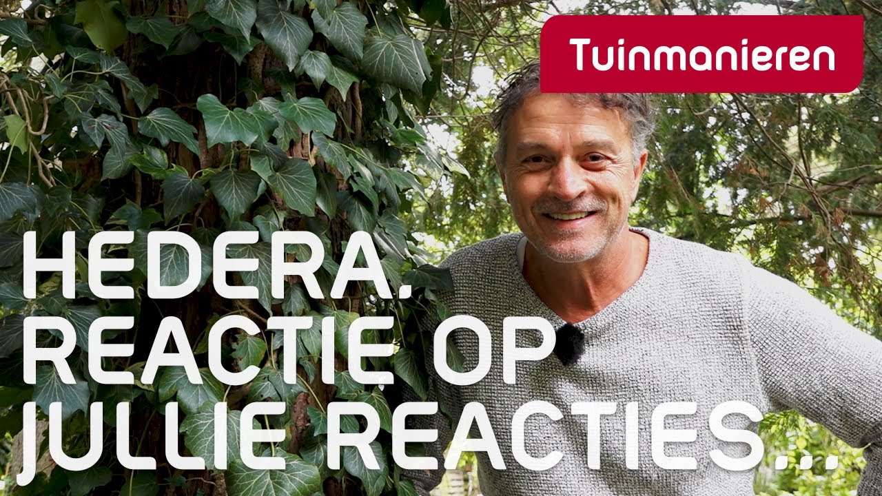 De HEDERA in de boom: Jurgen's reactie op jullie reacties! | Plantkennis Tuinmanieren