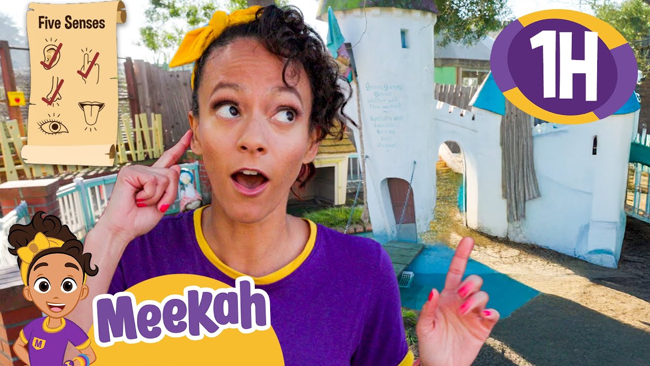 Meekah Learns The Five Senses at Fairyland | Educational Videos for Kids | Blippi and Meekah Kids TV