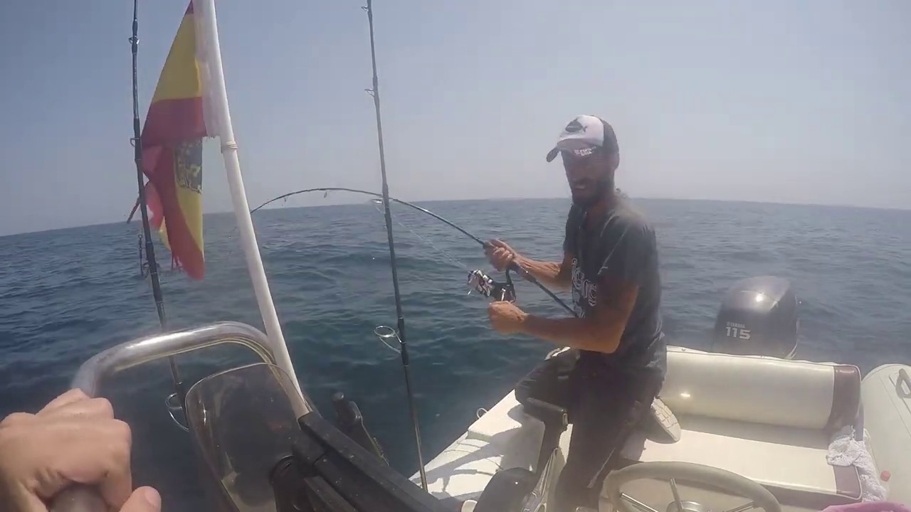JIGGING DENTEX GIBOSUS XXL PICADA EN DIRECTO!!