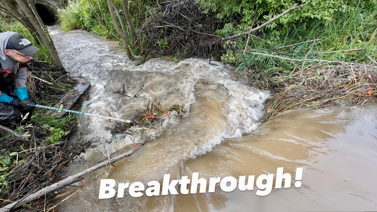 Culvert vs Flood!