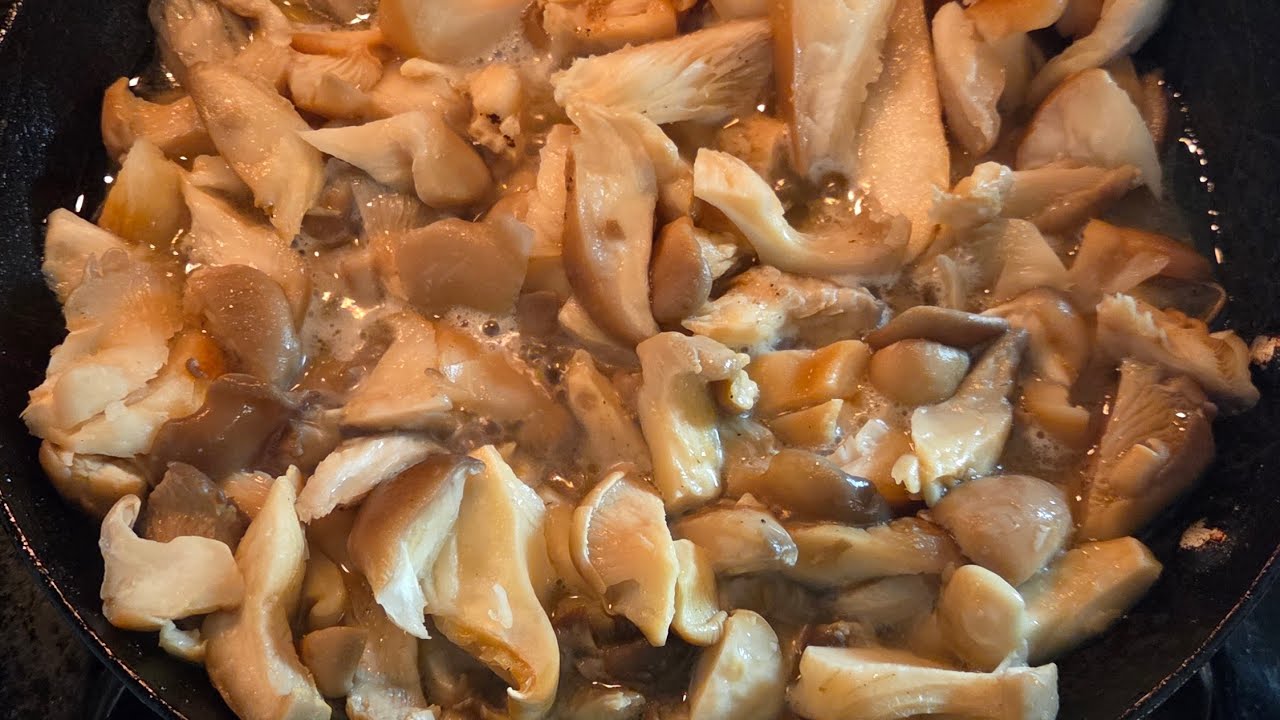 February maryland mushroom , Oysters, turkey tail, snow and mushroom, walking in woods.2