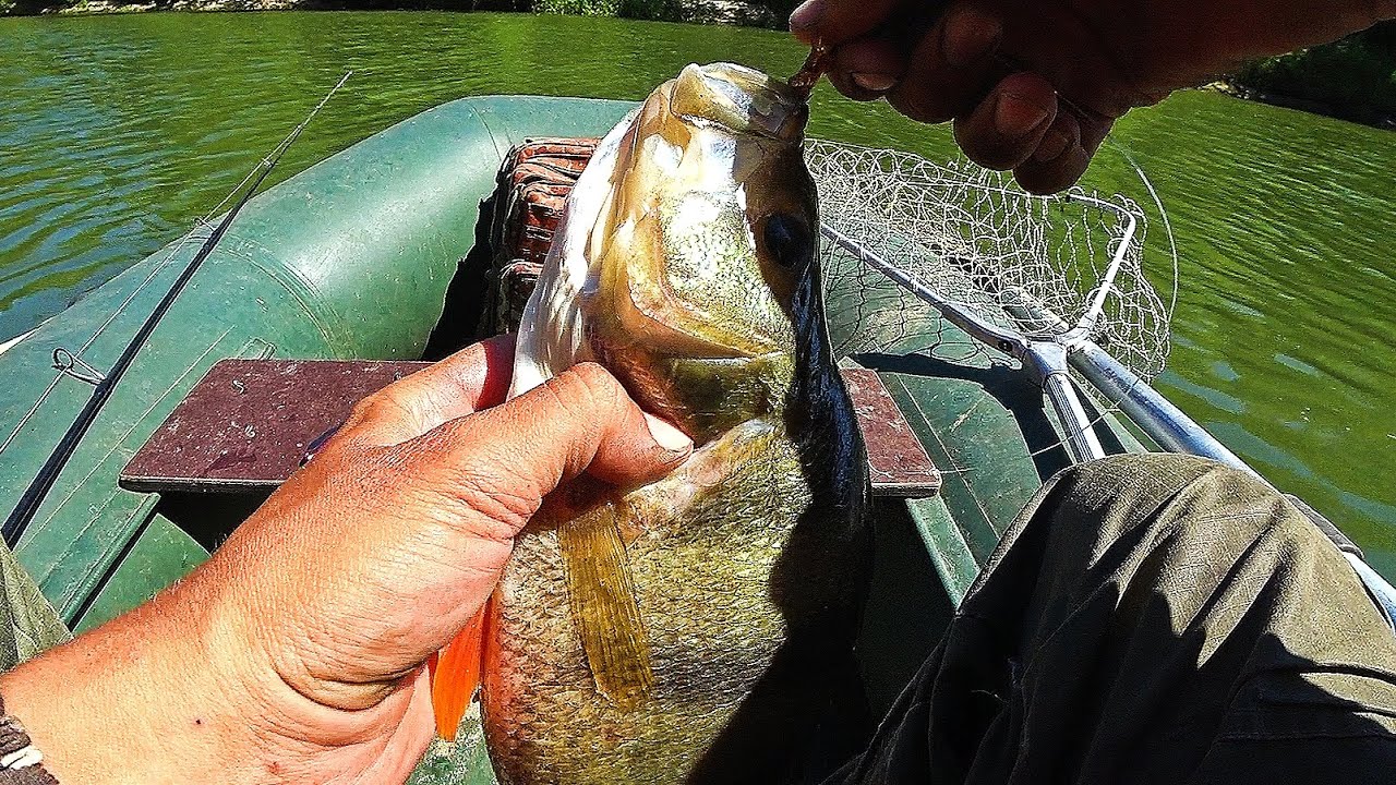 ЖЕСТЬ РЫБАЛКА ВЫШЛА! ПРУТ КАК ЗВЕРИ! ДИЧАЙШИЙ ЖОР! Ловля на спиннинг 2024.