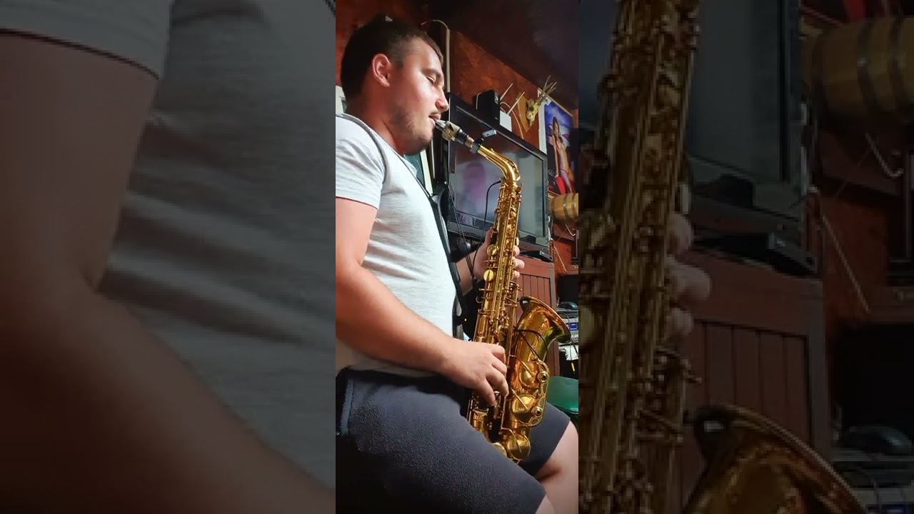 Sergiu Jula - instrumental