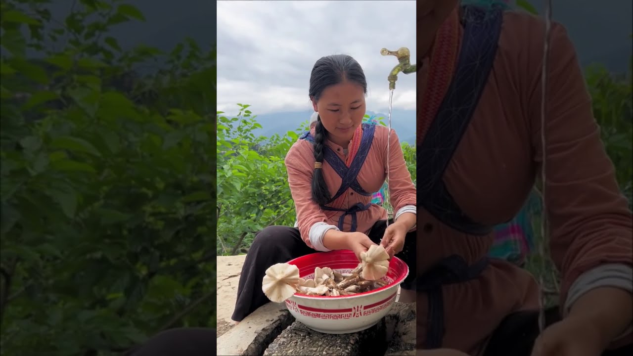 Harvesting mushrooms in the forest#asmrvideo #asmreating #shortsfeed #japan #korea #america #shorts