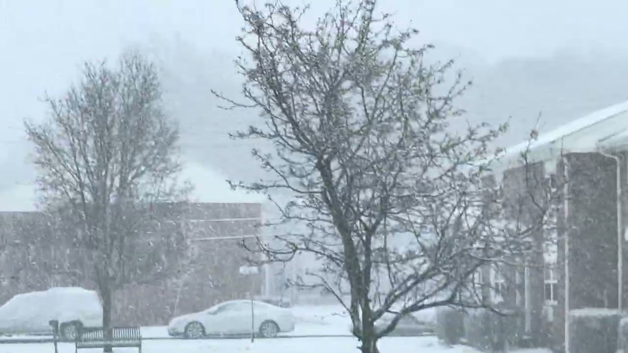 Snow Storm in New Jersey 22nd February 2026