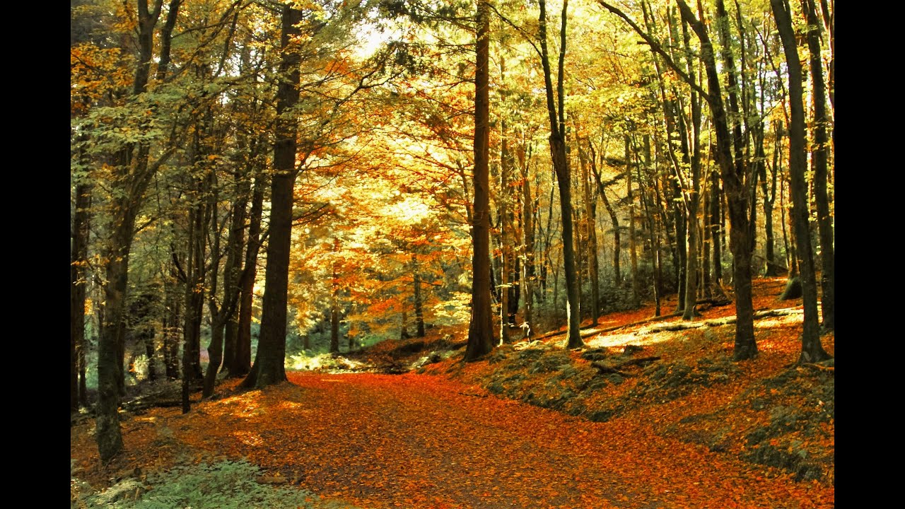Autumnal Tranquility.