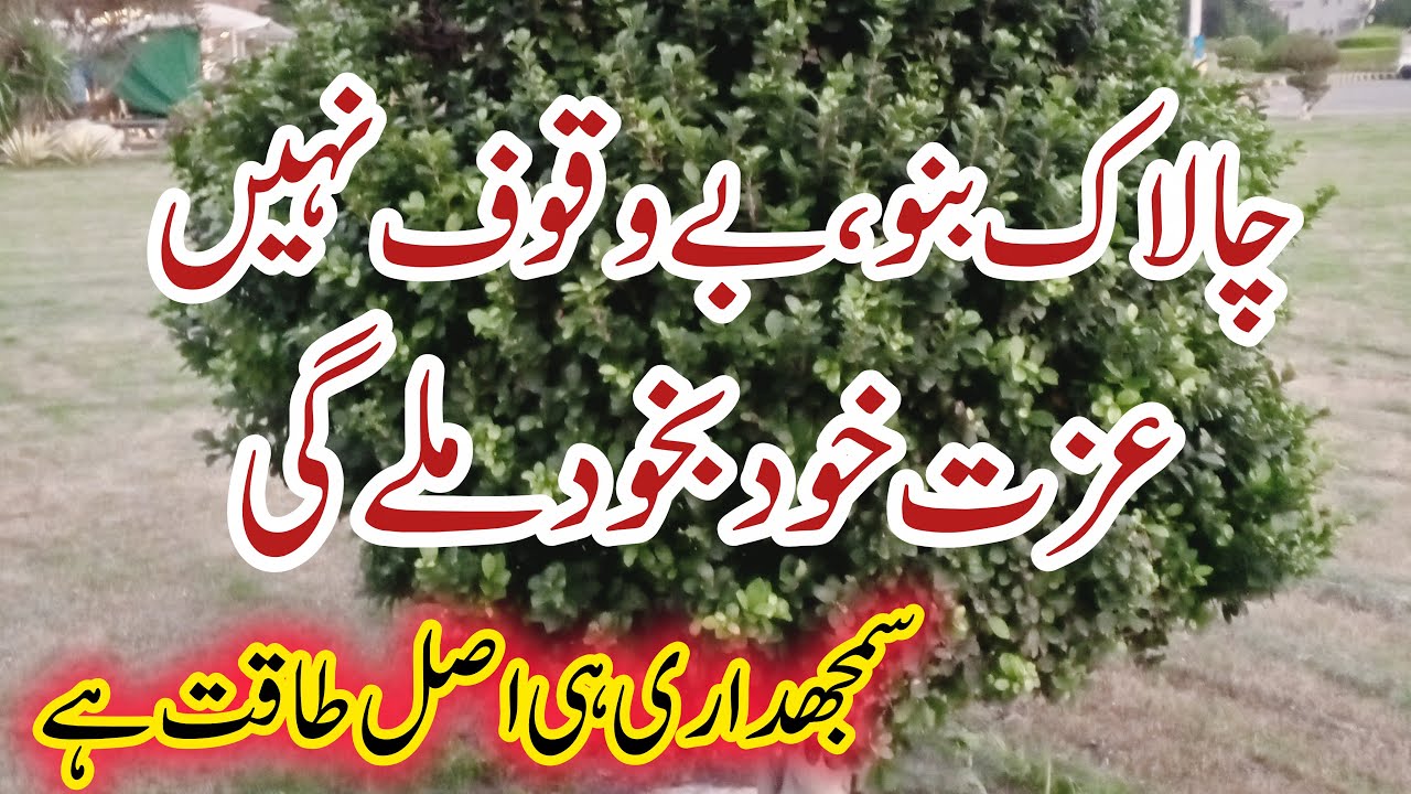 Learn Smartness, Not Loudness | People Will Respect You Automatically | Our Naimat Family