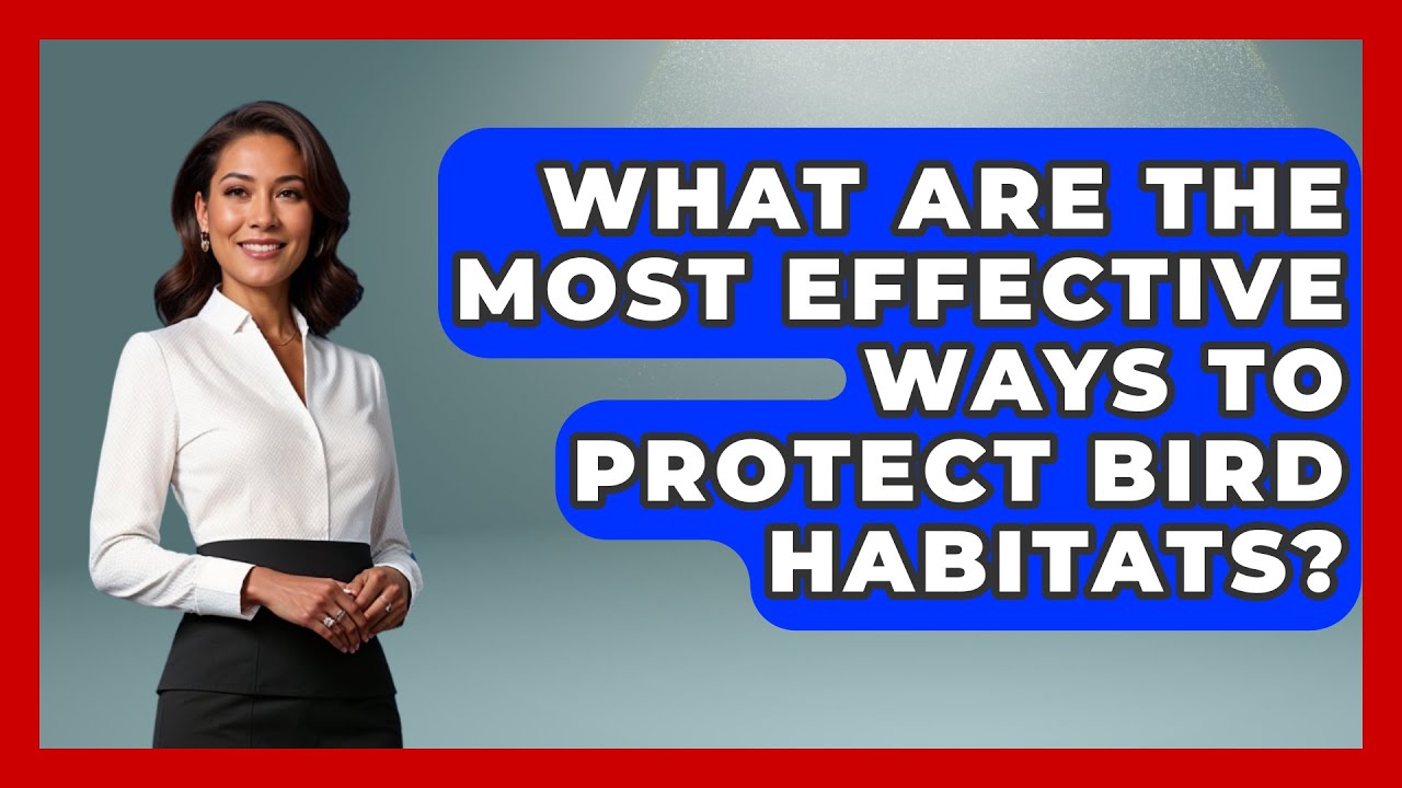 What Are the Most Effective Ways to Protect Bird Habitats? | Bird Watching Diaries