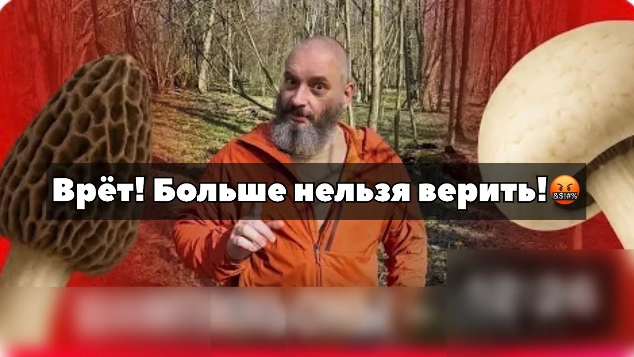 Михаил Вишневский ВРЁТ! Сморчки ядовиты?! УВОЛЕН с должности директора грибов.