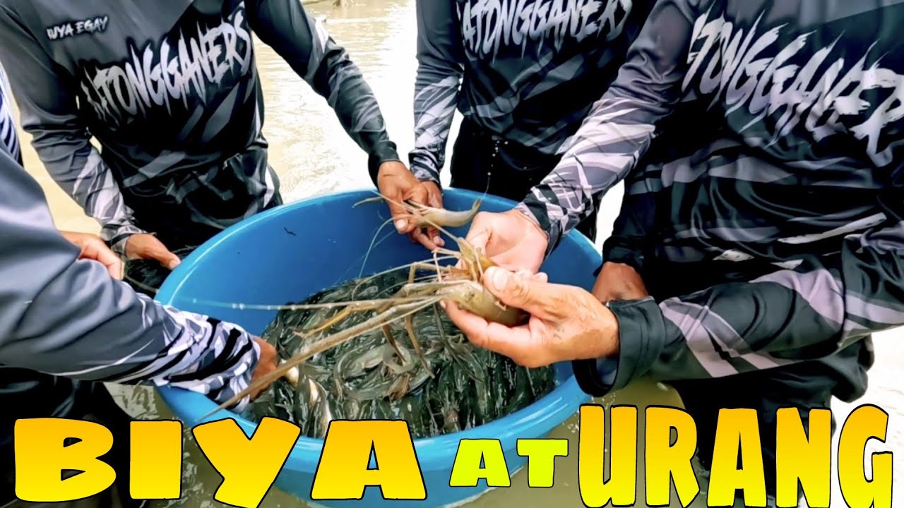 EP535:PART1-MASAYANG KULITAN SA PAG PANDAW NG BUKATOT