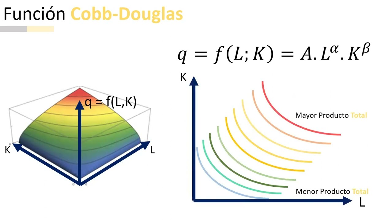 MICROECONOMÍA I - Teoría del Productor a Largo Plazo: Función Cobb Douglas