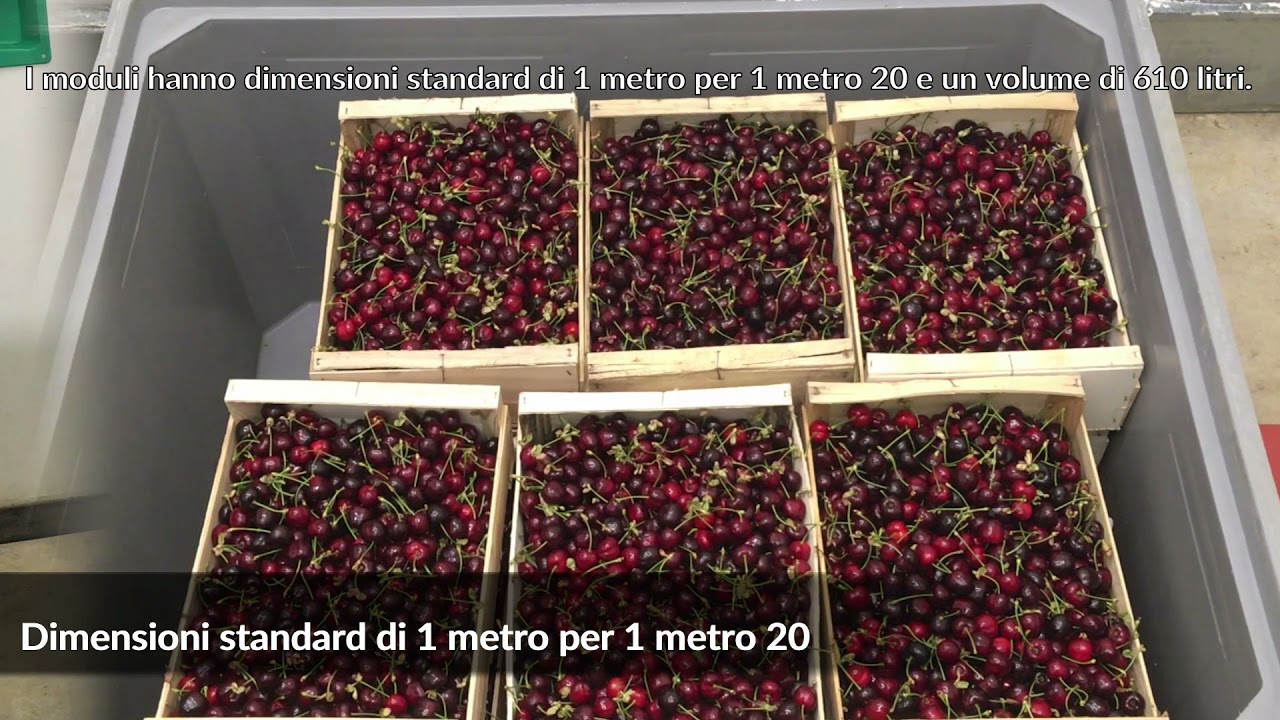 Conservazione nei  moduli ad atmosfera controllata :  istruzioni per l'uso