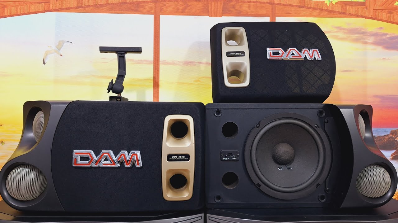500w loa Dam bãi nhật karaoke nghe nhạc siêu gấu quá hay 0965748574 DDS 950ll