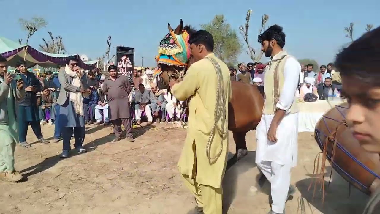 Ustad cash horse dance