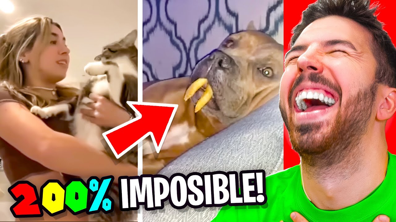 200% IMPOSIBLE AGUANTAR LA RISA