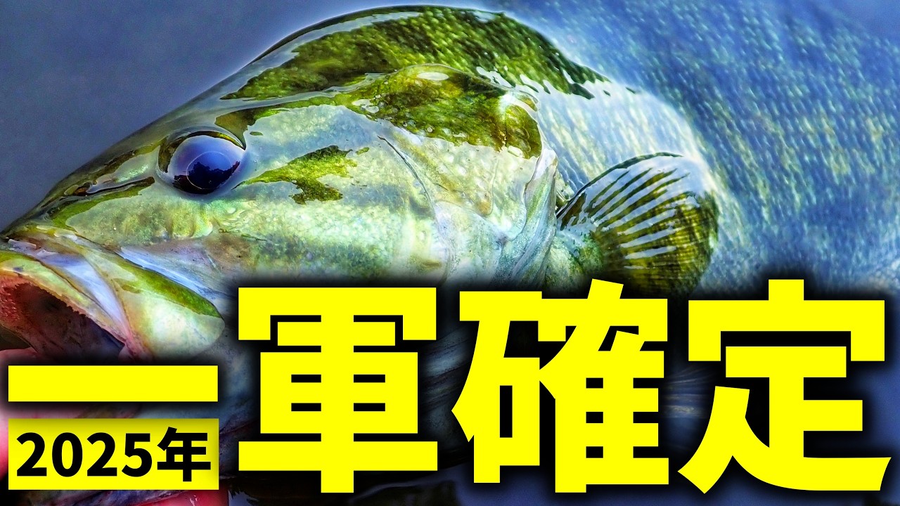 【ガチ公開】2025年、“一軍確定”した釣具12選【バス釣り】