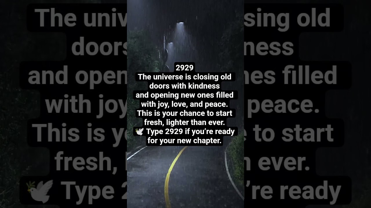 💖 2929 Angel Number &mdash; A Beautiful New Chapter