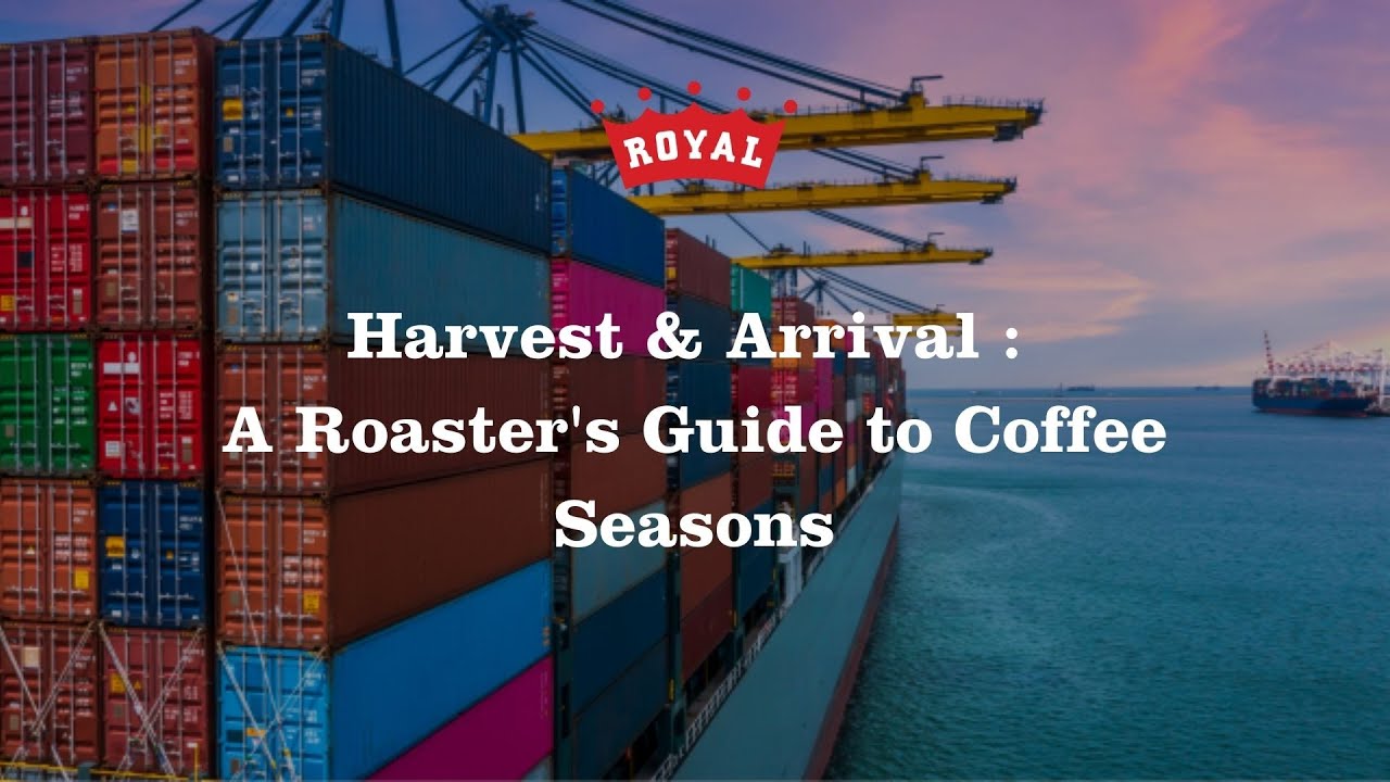 Harvest & Arrival : A Roaster's Guide to Coffee Seasons