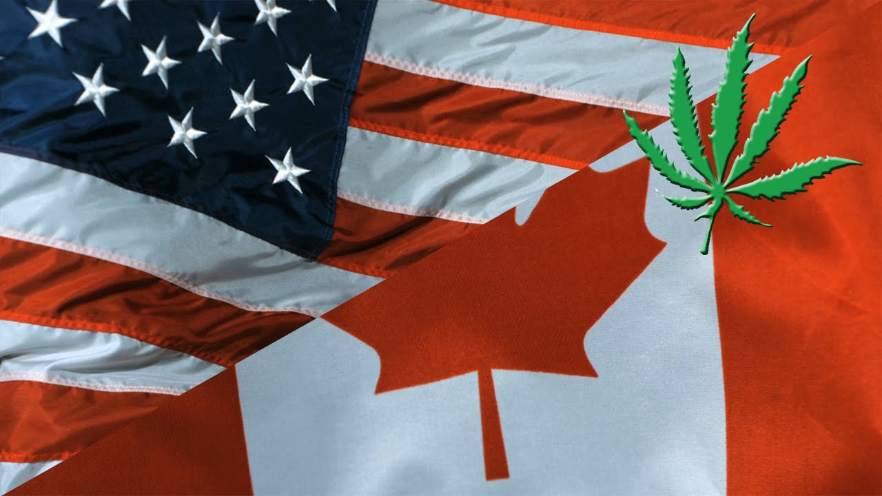 Vancouver-Based Pot Shop Biggest in Washington