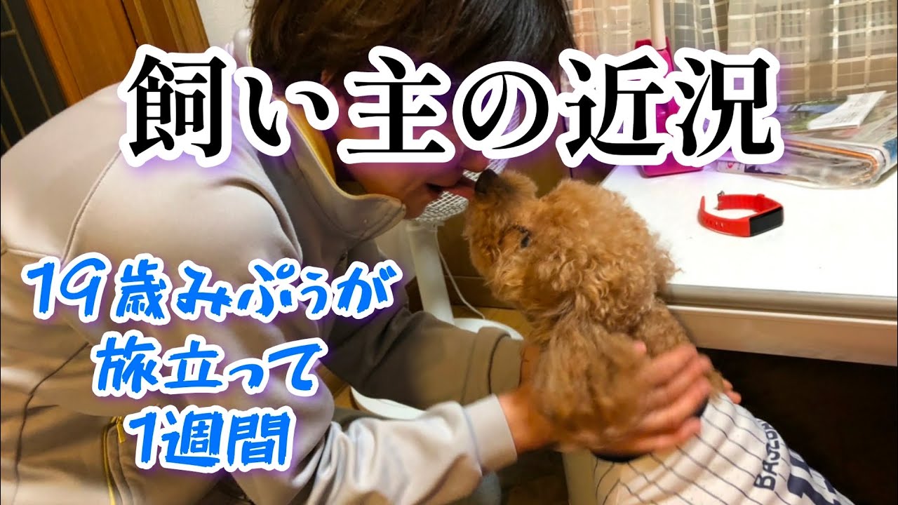 【いつも一緒】愛犬を亡くして1週間…飼い主の心境
