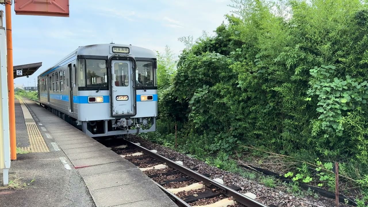 牟岐線 下り  4523D  普通ワンマン  阿波海南行き  1000形(1008号)全検明け   立江駅発車  2025年 8月13日(水)撮影