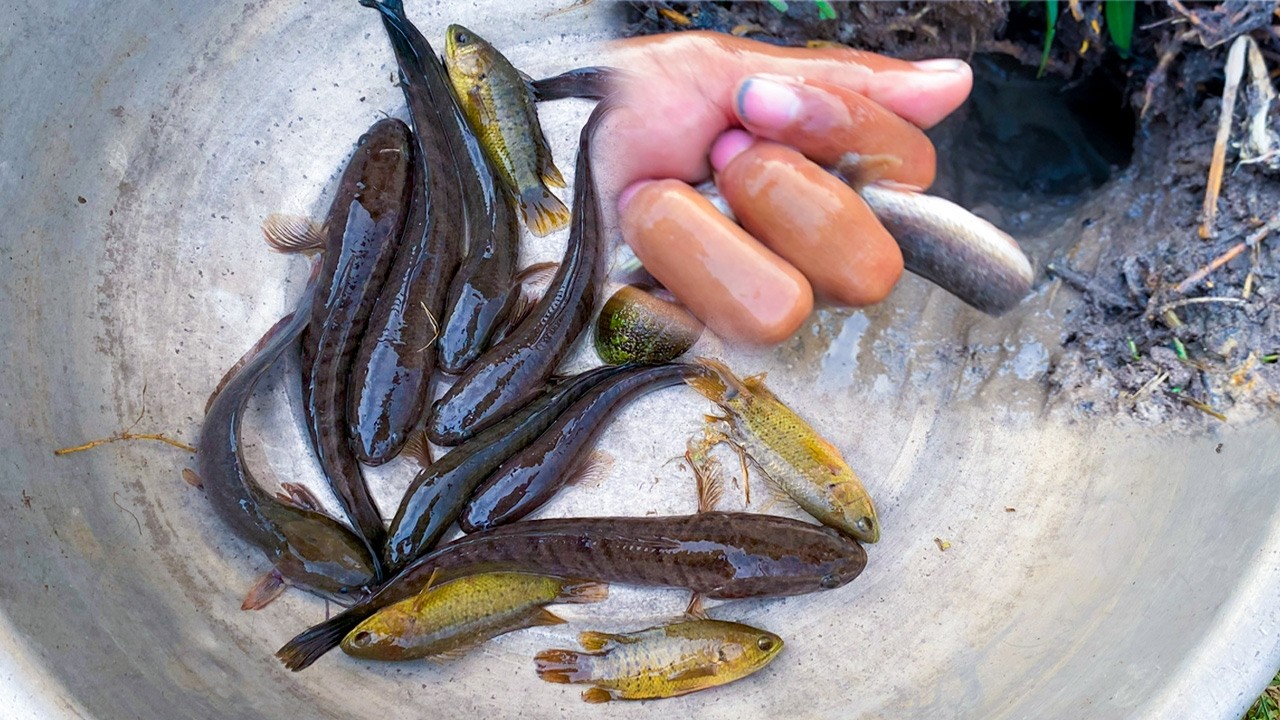 Catching fish at the mouth of the pond.