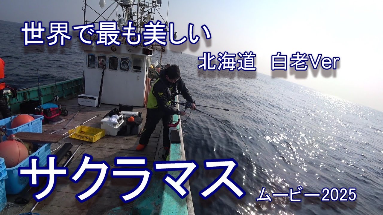 サクラマス釣りを観て愉しむ！最強動画！白老沖～2025Ver～