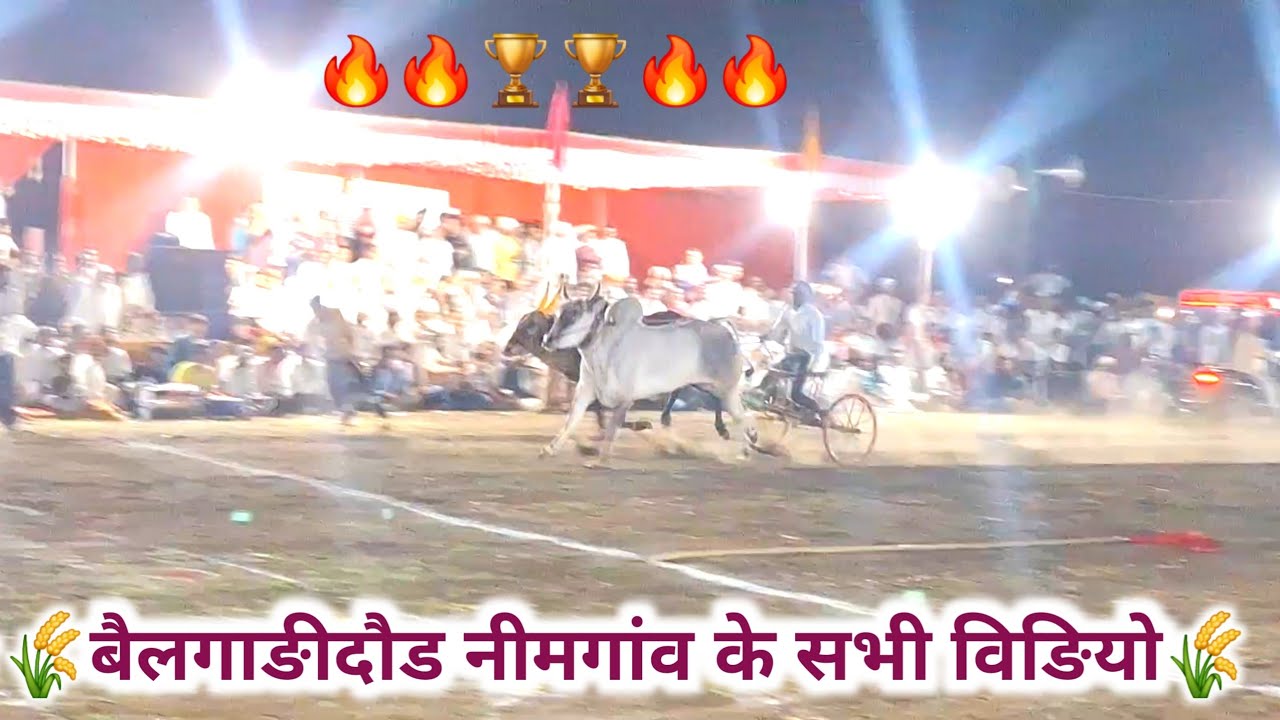 बैलगाङीदौड ​नीमगांव के सभी विङियो!Bailgadi Doud Neemgaon2026​महामुकाबला! 🚩