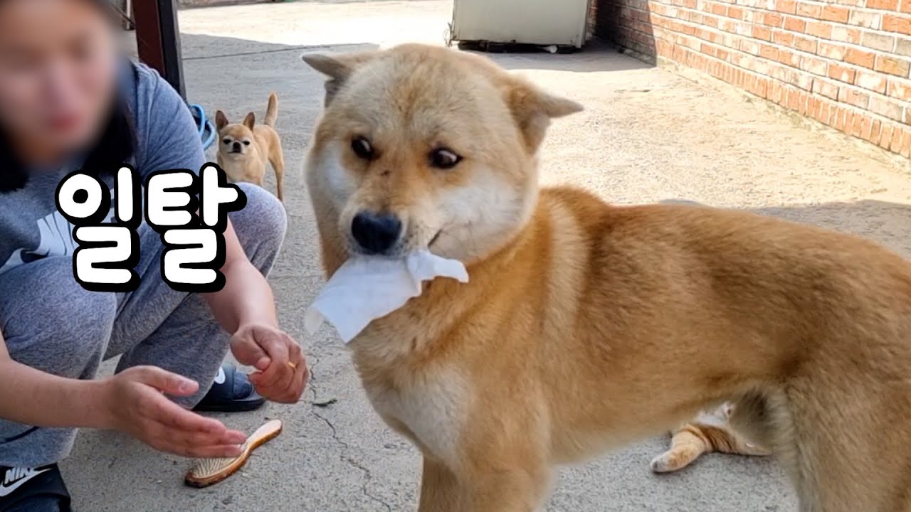 엄마가 이 영상을 안 보셨으면 좋겠어요