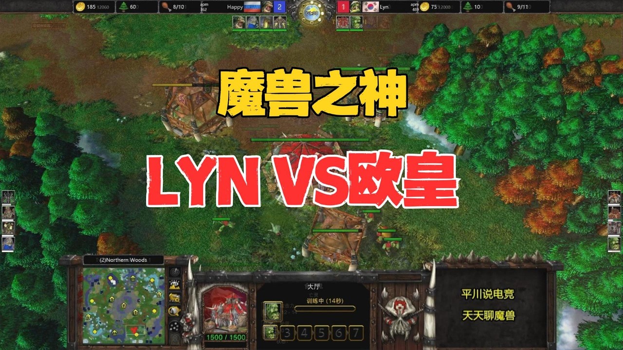 冠军争夺战，魔兽之神，Lyn vs happy！魔兽争霸3