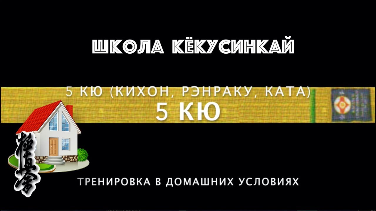 👊 ШКОЛА КЁКУСИНКАЙ. 5-й КЮ (в домашних условиях)