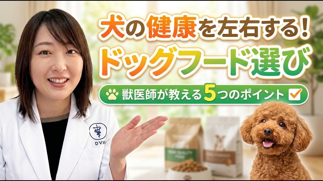 愛犬の寿命を縮める！？犬の健康を左右するドッグフード選びの5つのポイントを獣医師が解説