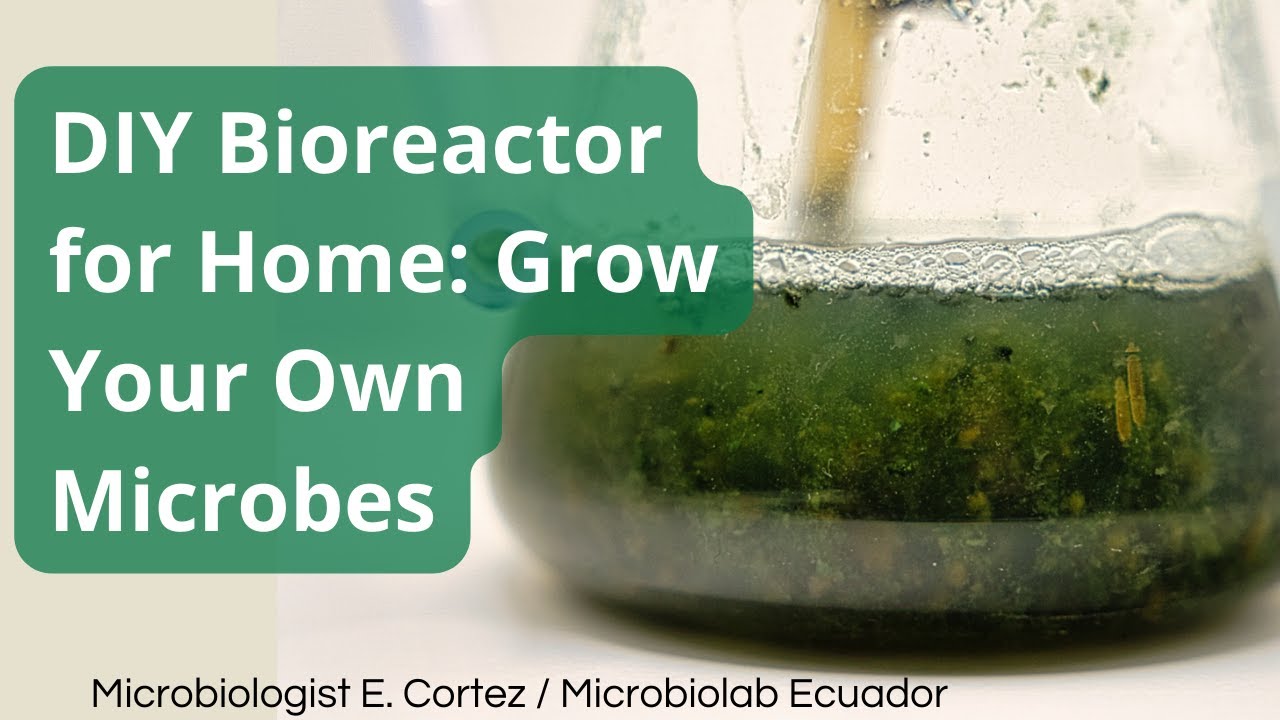 DIY Bioreactor for Home: Grow Your Own Microbes