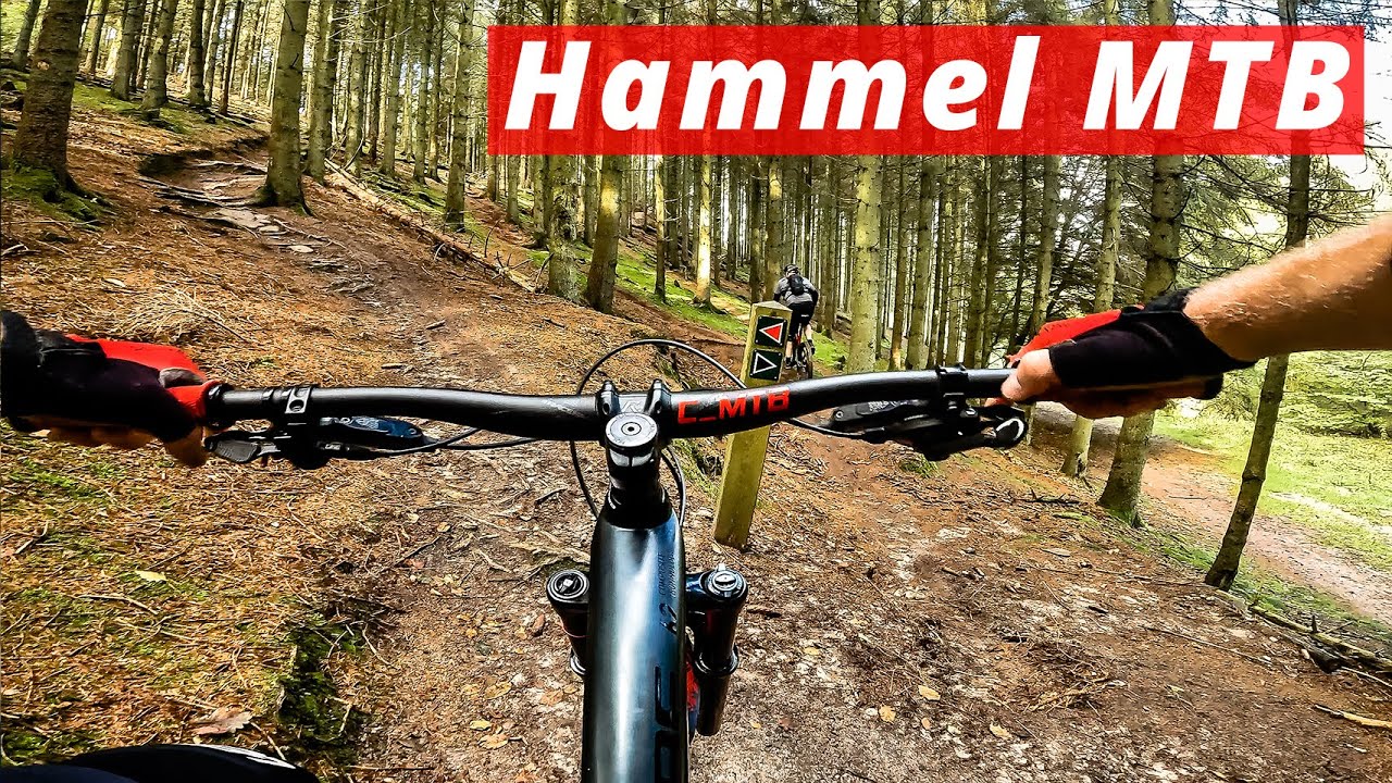 Hammel MTB - Klintholmsporet - Med røde og sorte nedkørsler