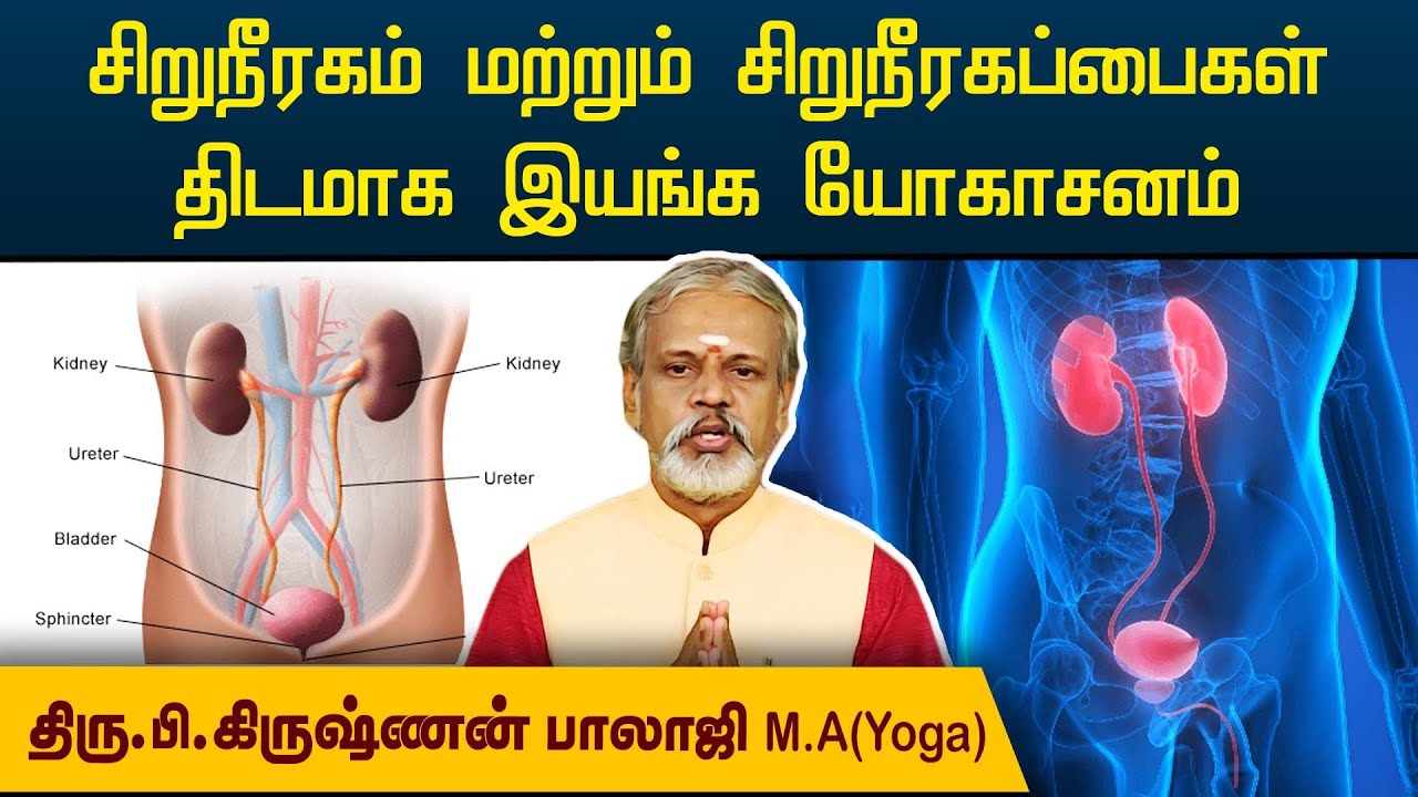 சிறுநீரகம் மற்றும் சிறுநீரகப்பைகள் திடமாக இயங்க யோகாசனம் | Krishnan Balaji | @megatvindia