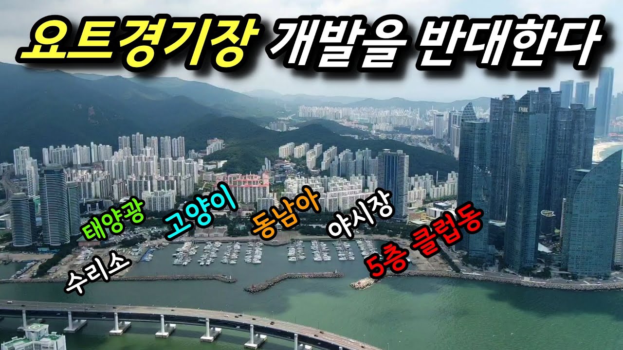 이것은 님비인가? 핌피인가? 수영만 요트경기장 재개발 현장 실황ㅣ 카오소장