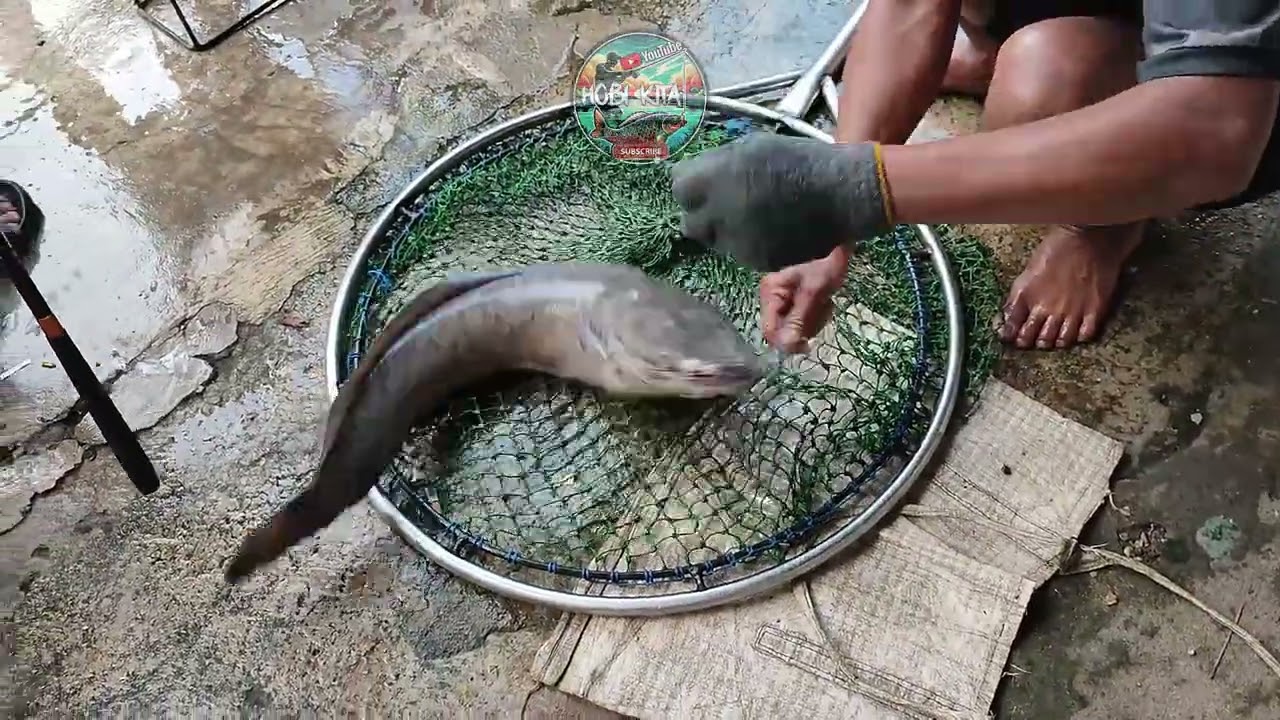 ikan keserok mancing di kp.sumberan, dilem - kepanjen