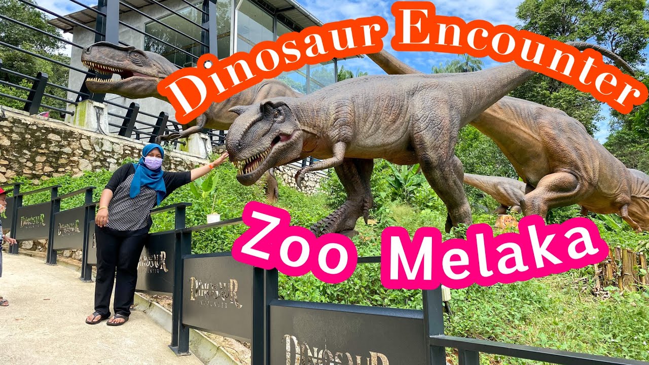 Zoo Melaka | Taman Dinosaur Encounter Melaka | Zoo Malaysia