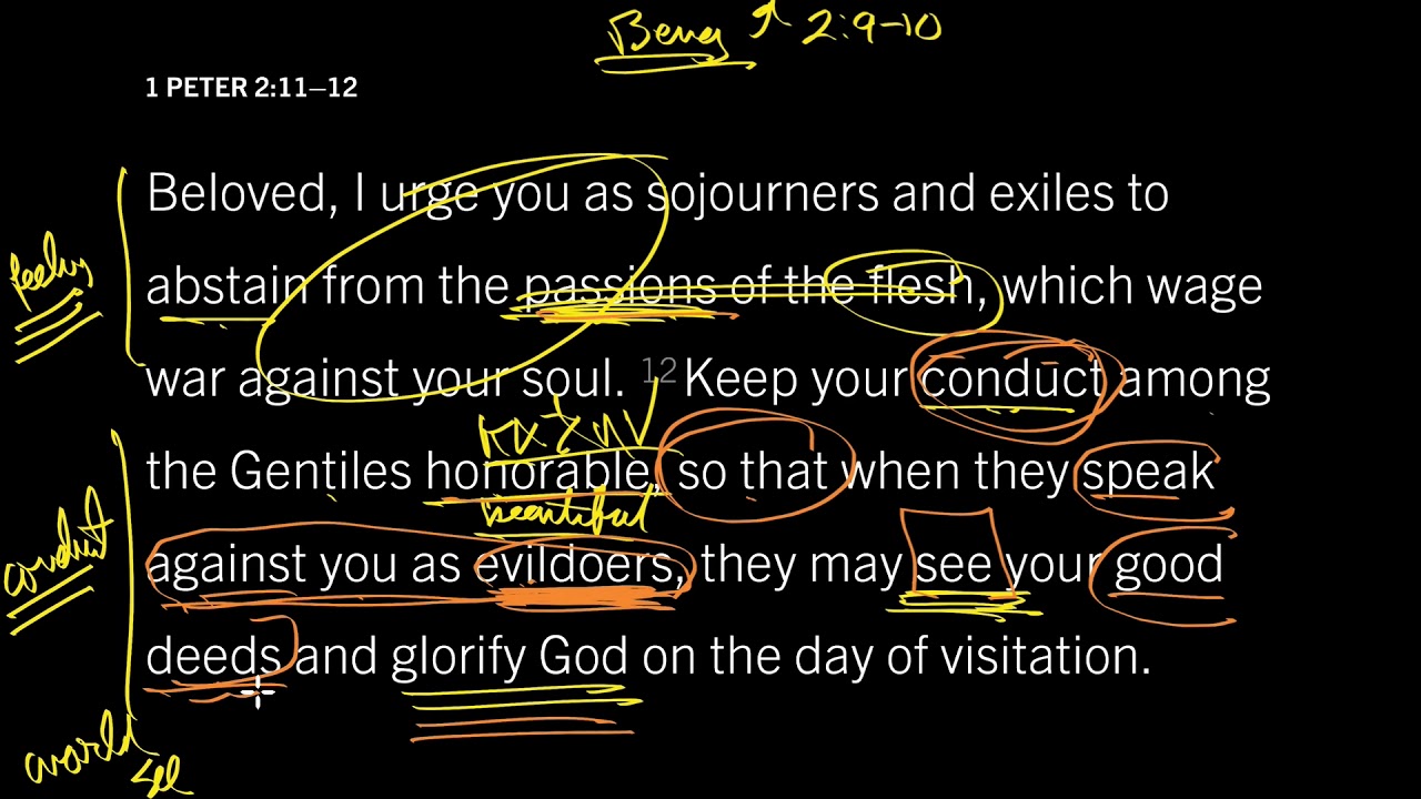 Silence the World with Good Deeds: 1 Peter 2:11–12, Part 2