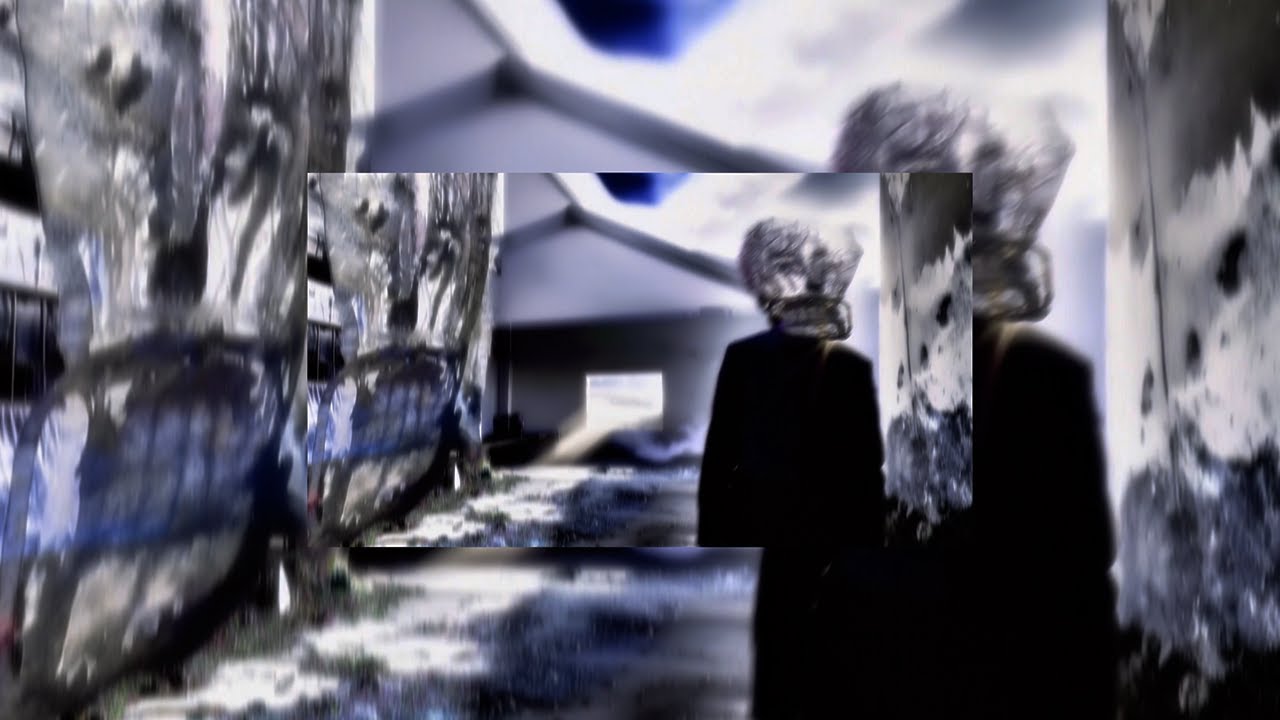 SEPHA. // To the Wheel (Lyric Visualiser)