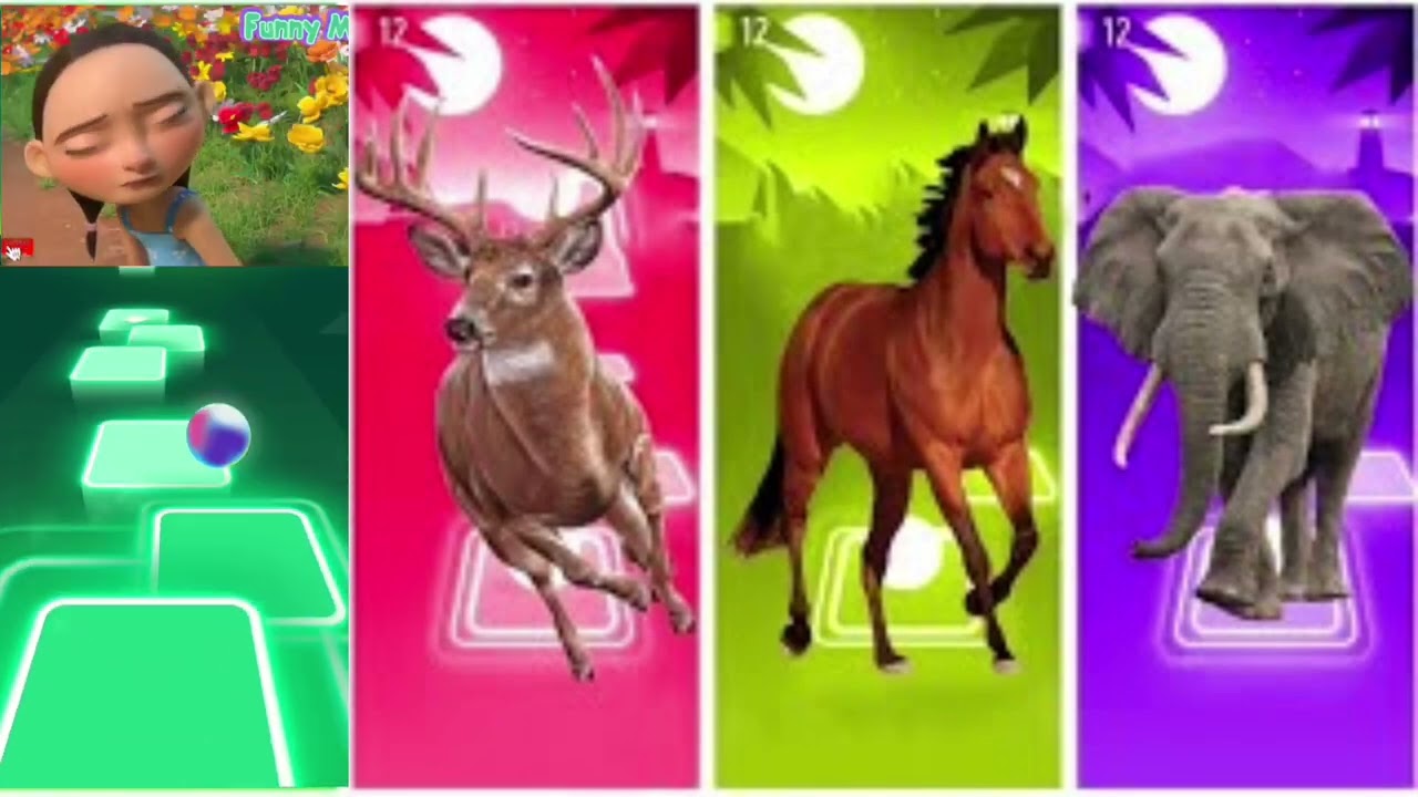 Funny Ferdinand🐃🆚Funny Ferdinand🐃🆚Tiger 🐯🆚FunnyHorse🐎🆚Funny Rhinoceros🦏