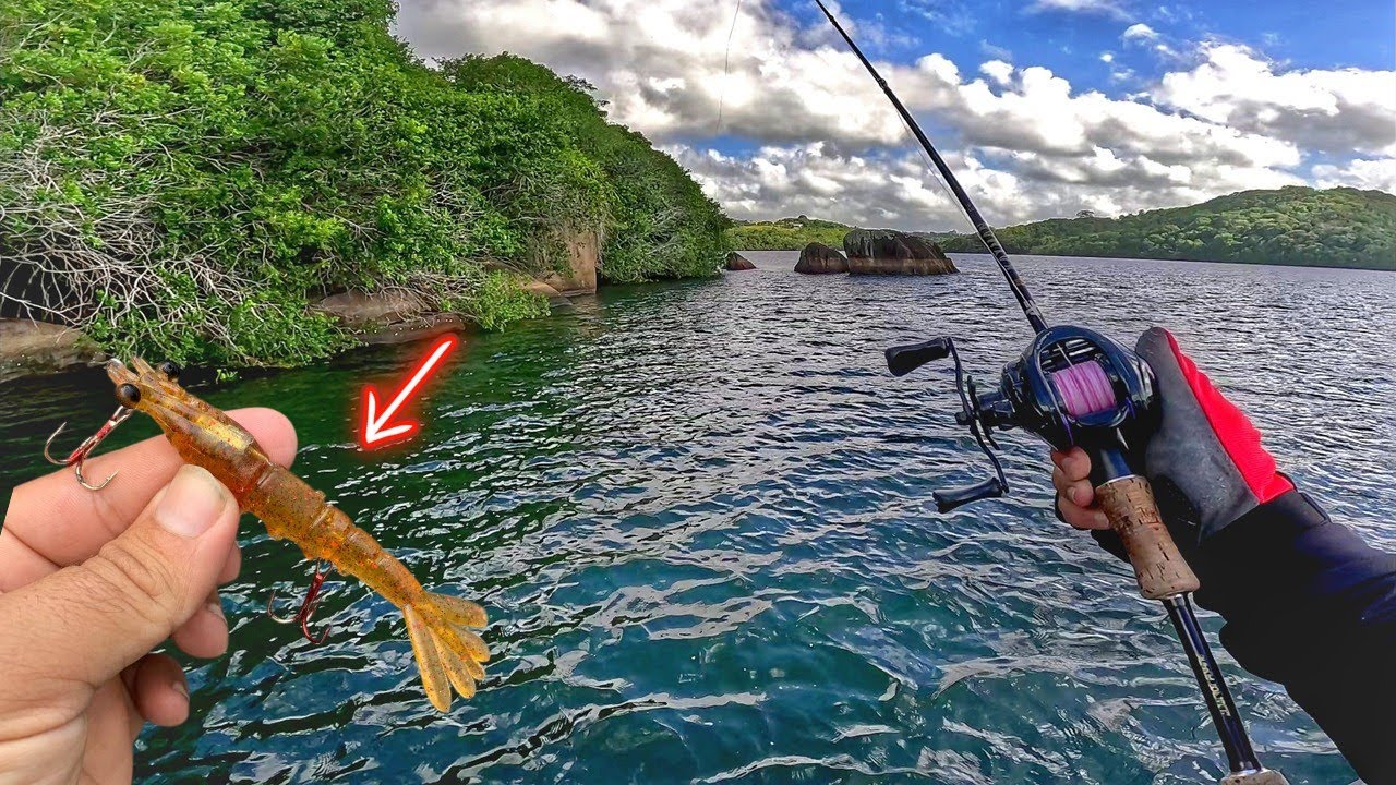⚠️ DENUNCIA - Algo muito TRISTE aconteceu nessa Pescaria de ROBALO no Mangue com Iscas artificiais