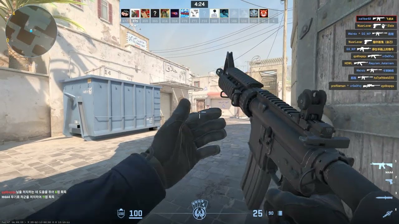 counter strike 117