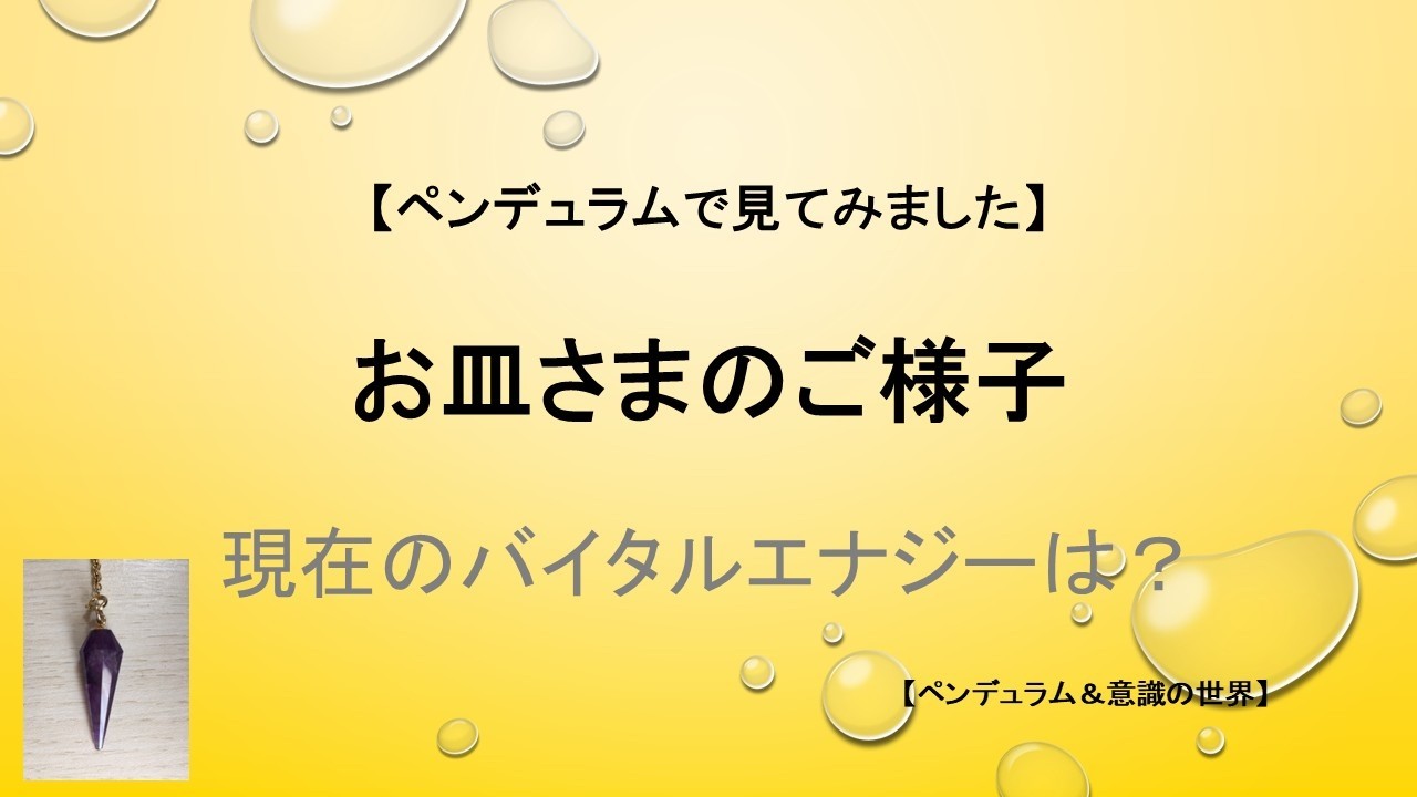 お皿さまの現在のご様子。バイタルエナジーをペンデュラムで見てみました。【ペンデュラム＆意識の世界】