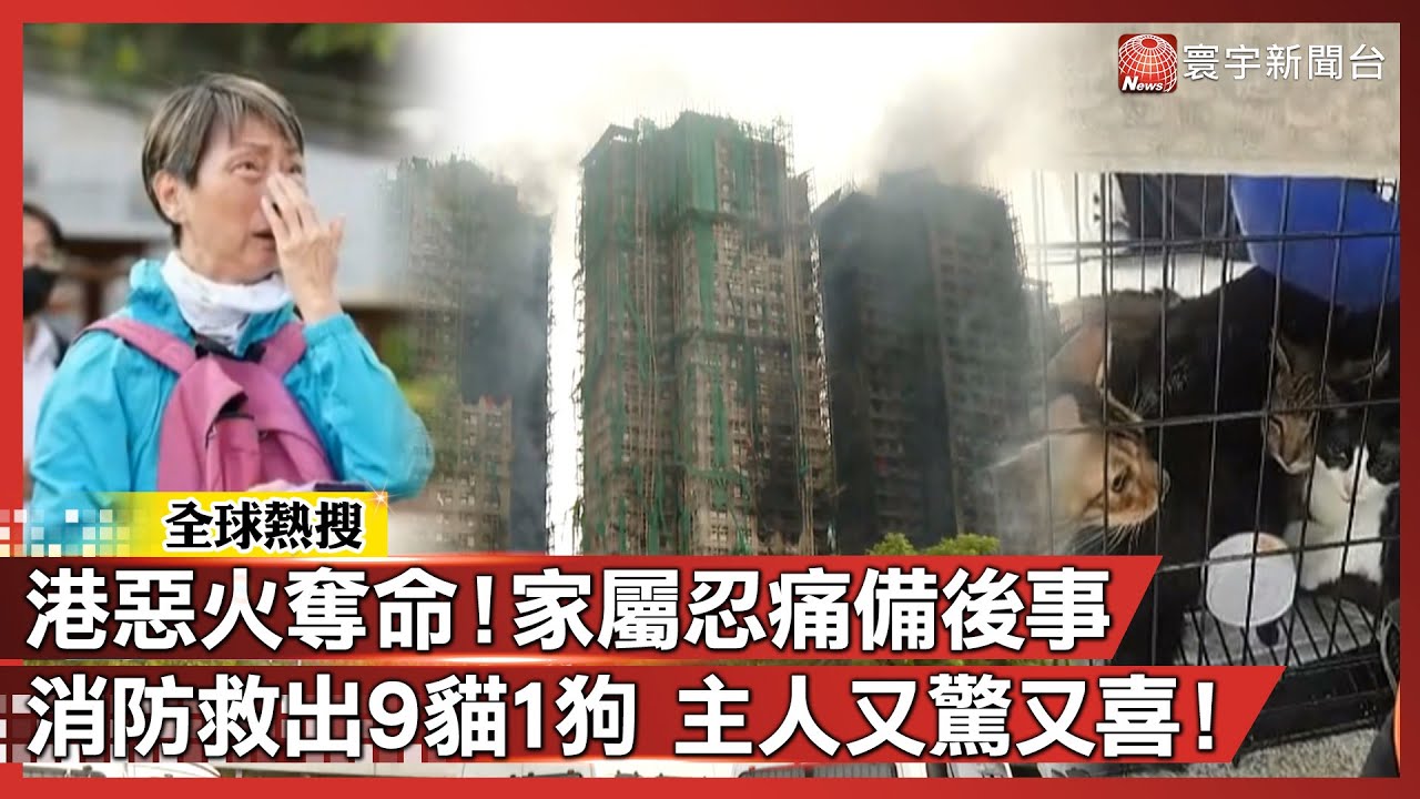 香港惡火奪命！家屬忍痛準備後事 消防救出9貓1狗 主人又驚又喜！｜#寰宇全視界@globalvisiontalk