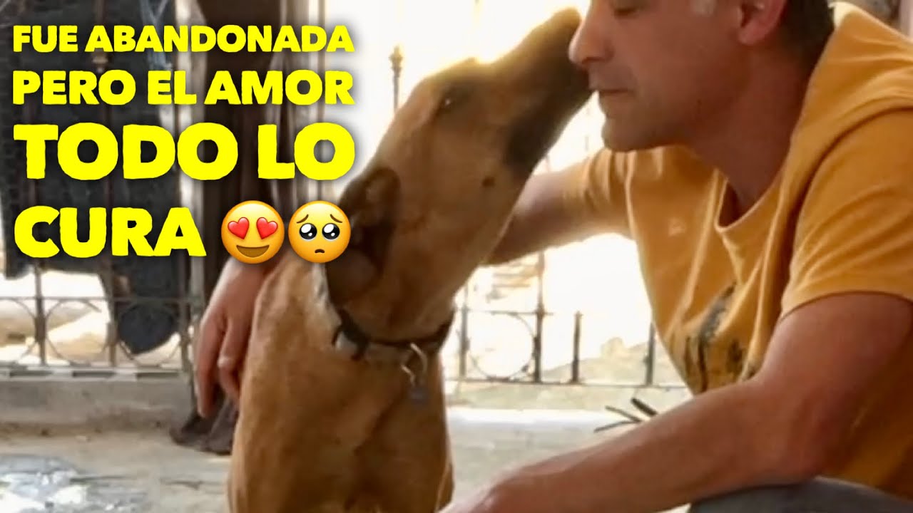 Esta historia Derretira tu corazon! Ella fuè abandonada.. pero le esperaba algo mucho mejor...